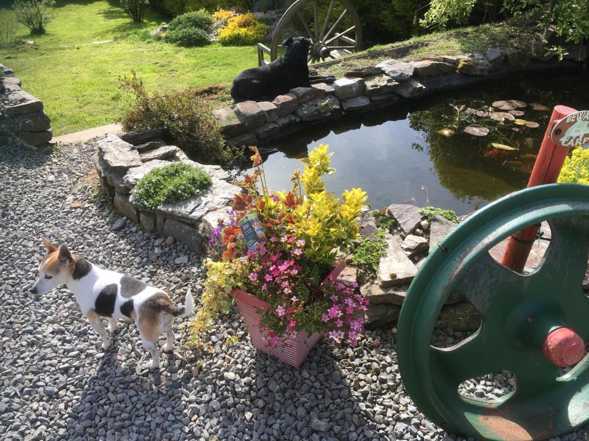 Stoke House Bed And Breakfast Stoke Rivers Εξωτερικό φωτογραφία